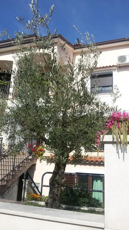Apartment Ljubica Врсар Екстер'єр фото