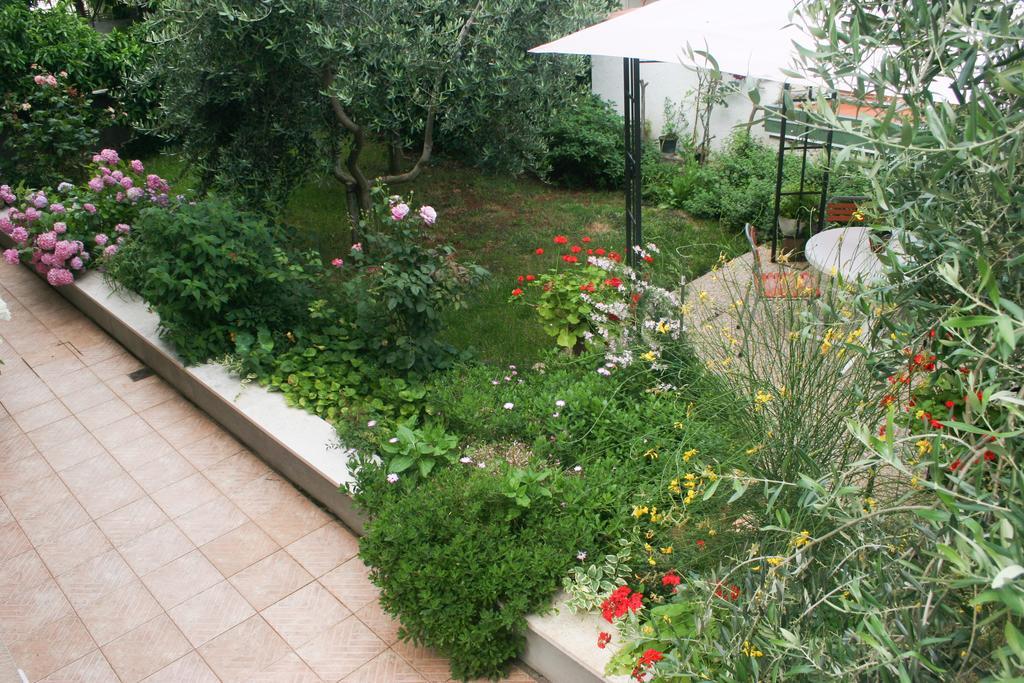 Apartment Ljubica Врсар Екстер'єр фото